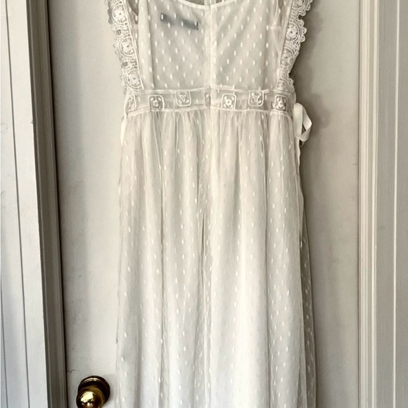 Beautiful Lace Overlay Dress with Embroidered Birds - Picture 4 of 4